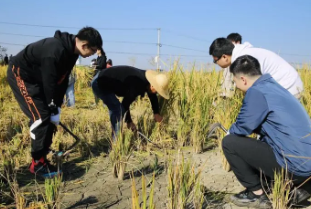 “三全育人”视域下新时代高校劳动教育研究