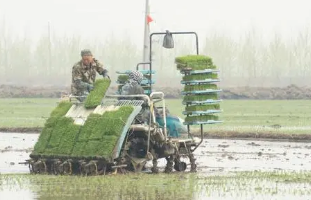 北方寒地水稻种植机械化技术集成与推广研究