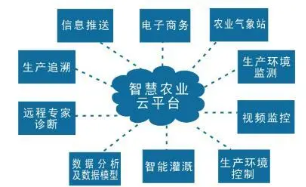 区域农业与物流业的协同互动发展研究