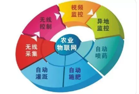 基于物联网技术的农产品供应链信息化管理研究