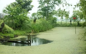 浙江地区农村生态环境污染问题及治理对策研究