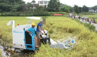 基于VAR模型的农村劳动力转移与粮食生产实证研究