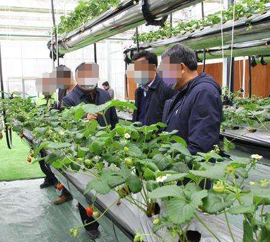 生物技术在农业种植中的推广和应用