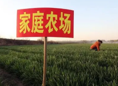 我国种植业家庭农场发展案例