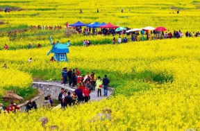 北京市农村休闲农业与农村经济发展实证研究