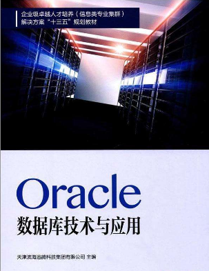 Oracle数据库应用系统后台数据信息整理 及技术分析