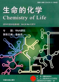 案例教学法在肝脏生物化学教学中的应用