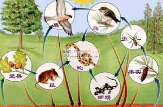 自然科学研究系列中高级职称申报评审条件