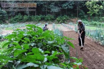 绿色农业种植技术推广存在问题及策略初探