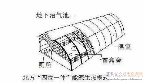 猪沼粮生态循环农业模式在上海农场的实践应用