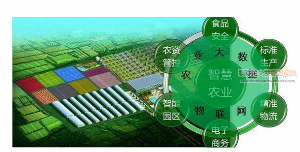 基层农业技术推广服务体系的构建与实施