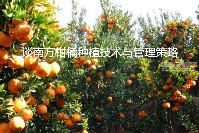 谈南方柑橘种植技术与管理策略