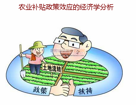 农业补贴政策效应的经济学分析