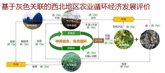 基于灰色关联的西北地区农业循环经济发展评价