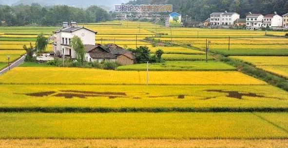 生态农业对农业经济发展的影响