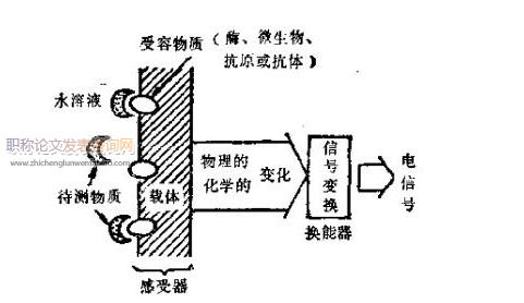 生物传感器方面的论文发表指导