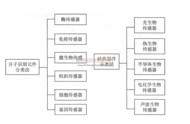 生物传感器方面的论文发表价格多少