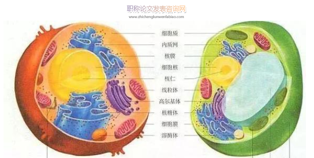 探究高中生物教学中如何培养学生的审题能力