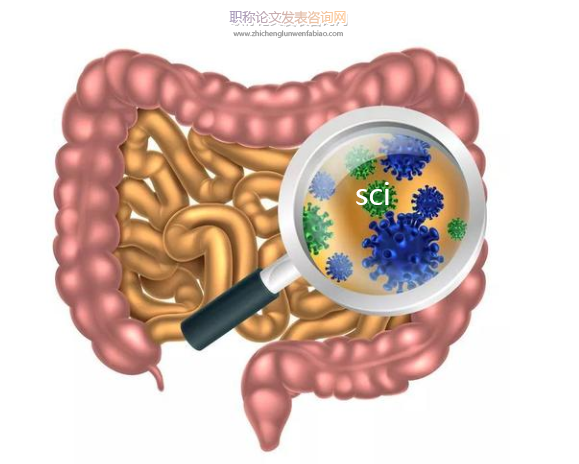 肠道微生物相关sci杂志