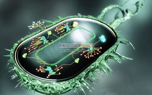 浅析高中生物课堂教学中的设疑启思