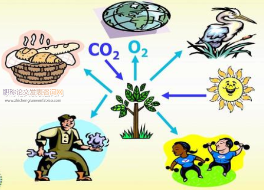 关于初中生物教学生活化的研究