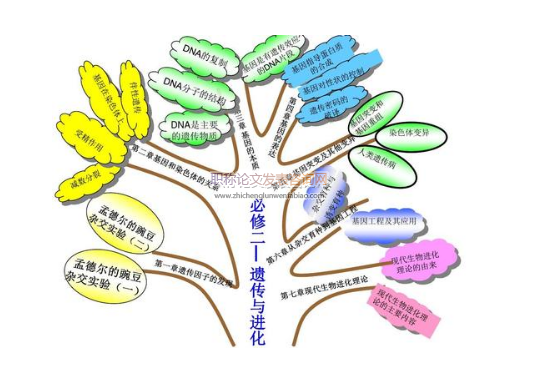 基于生物核心素养养成的高中生物教学研究