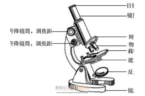 浅谈高中生物教学策略