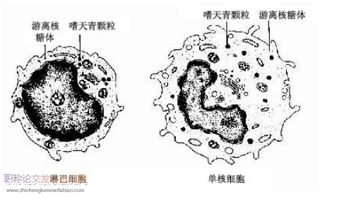 超微结构论文发表