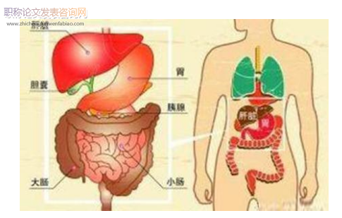 写急性胰腺炎的论文发表期刊