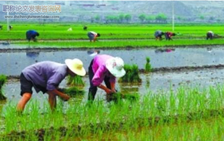 农村劳动力转移能当做课题研究吗