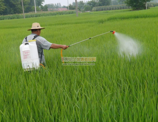 农药施用技术培训减少农药过量施用了吗？