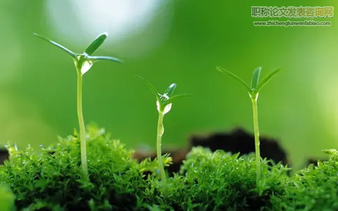 气候变化下我国主要粮食作物种植环境适应性分析