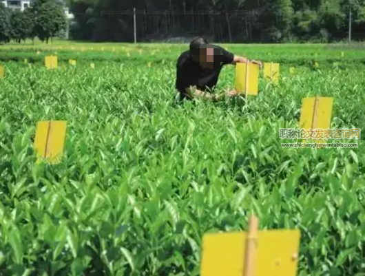 关于植物保护与农业可持续发展的思考