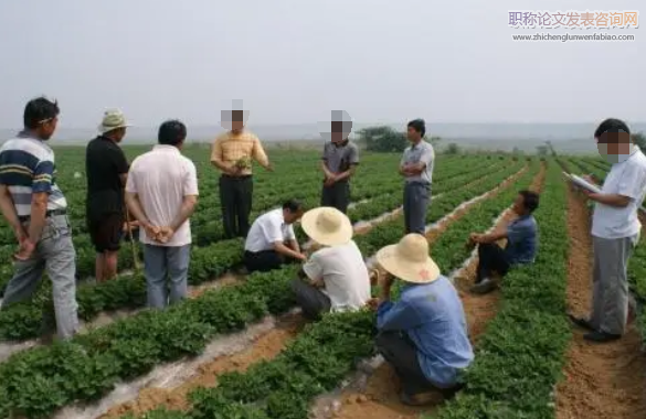 基层农业技术推广存在的问题与优化措施