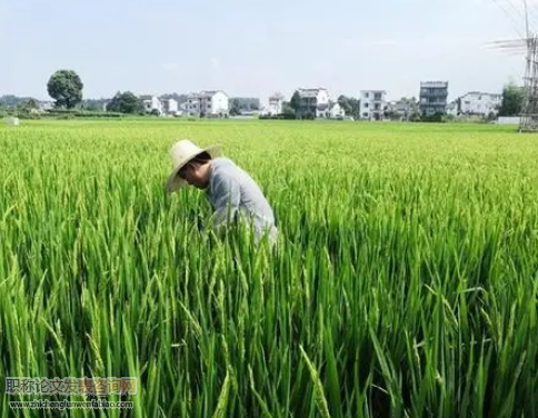 关于乡镇农业技术推广工作中存在的问题和对策分析