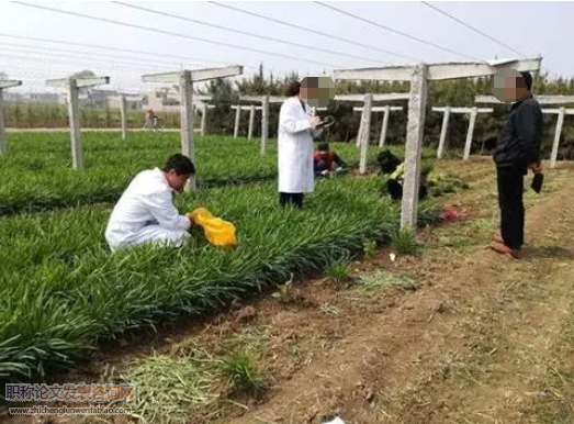 农业技术培训现状及对策